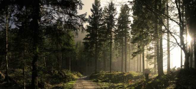 Делаем ремонт кирпичной печи своими руками